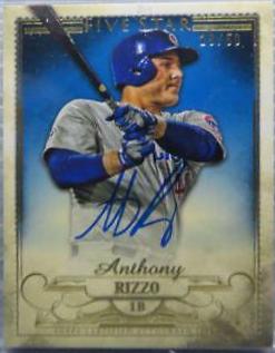 Anthony Rizzo [Gold] #FSA-ARI