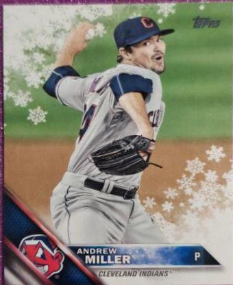 Andrew Miller [Metallic Snowflake] #HMW35