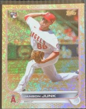 Janson Junk [Hobby Foilboard] #594
