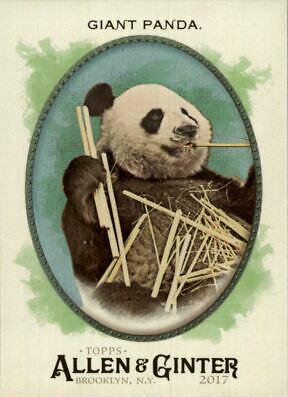 Giant Panda [Hot Box Foil] #276