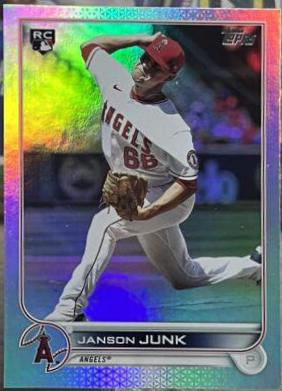Janson Junk [Rainbow] #594