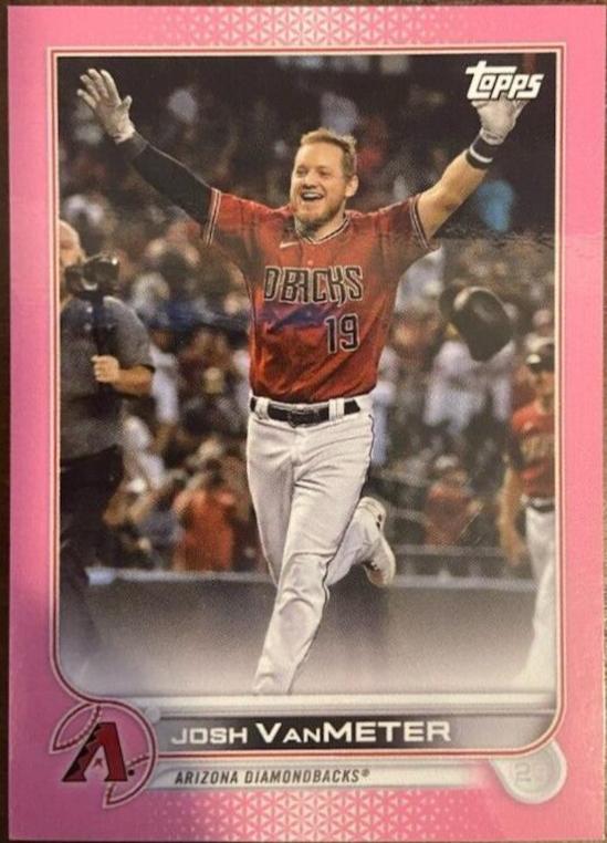 Josh VanMeter [Mini Pink] #534