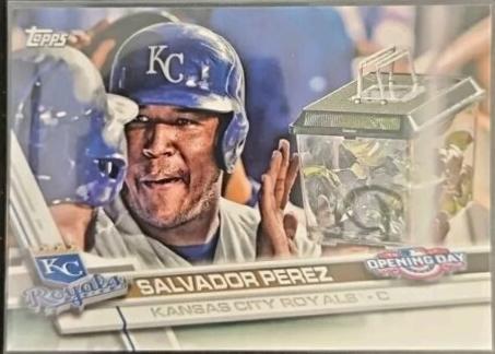 Salvador Perez [Rally Mantis Container] #23