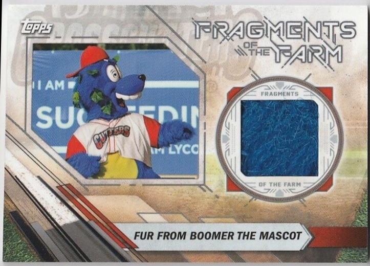 Fur from Boomer the Mascot #FOTF-WC