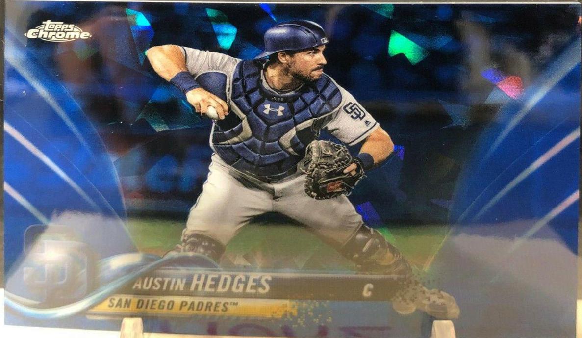 Austin Hedges #609