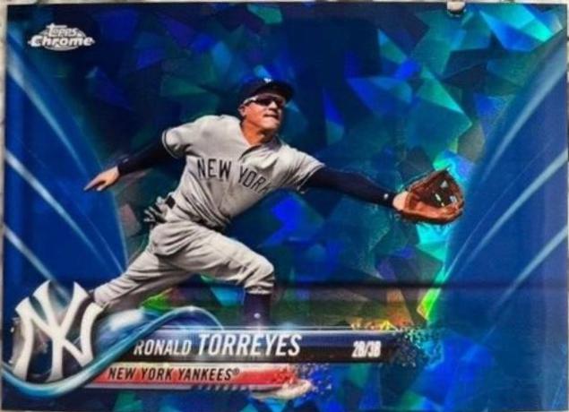 Ronald Torreyes #481