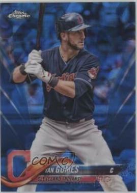Yan Gomes #353