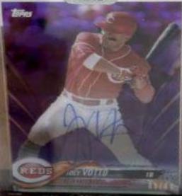 Joey Votto [Autograph Purple] #JV