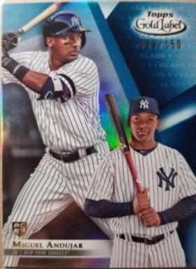 Miguel Andujar [Class 1 Blue] #75