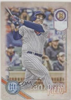 Anthony Rizzo [Missing Nameplate] #87