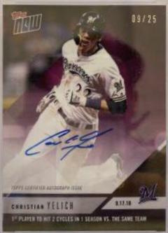 Christian Yelich [Autograph Purple] #739C