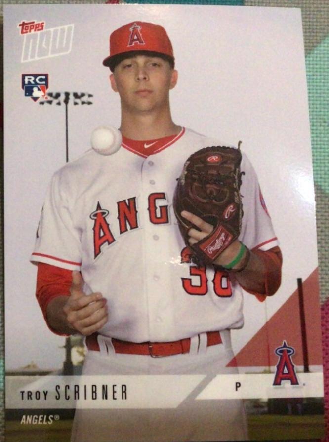 Troy Scribner #OD171