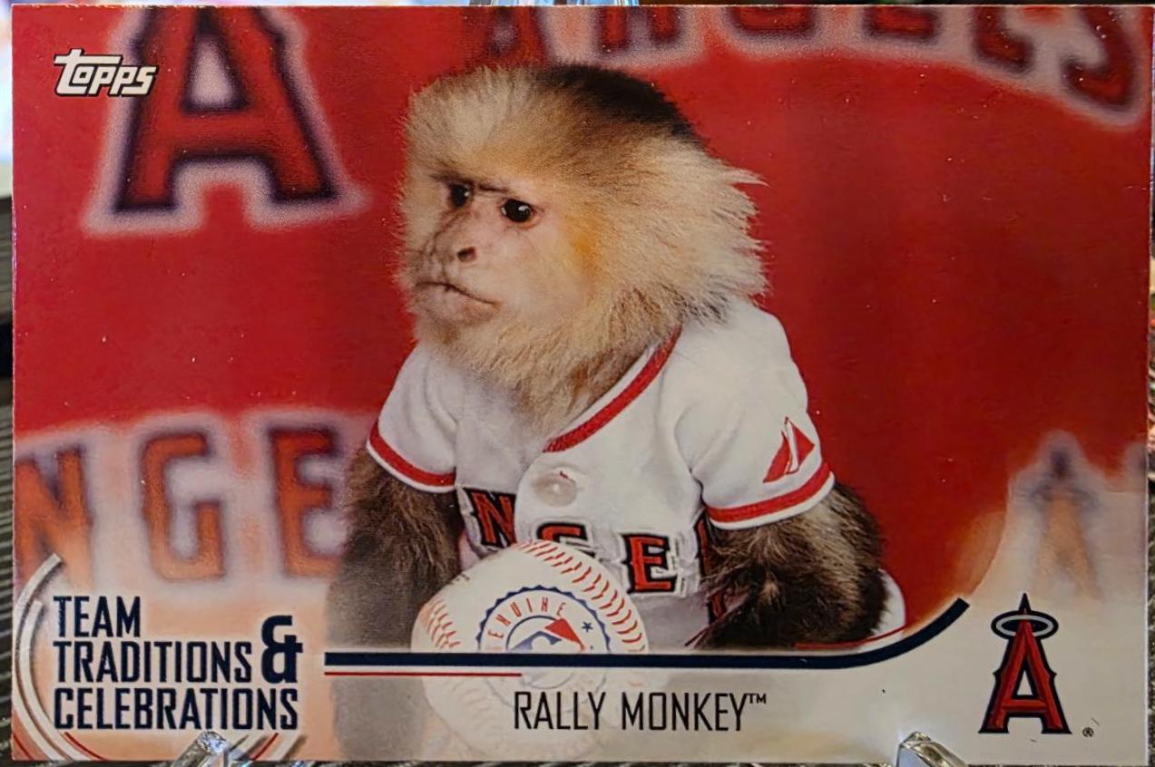 Rally Monkey #TTC-RM