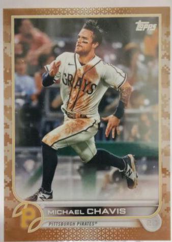 Michael Chavis [Memorial Day Camo] #365