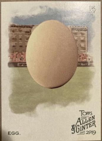 Egg #213