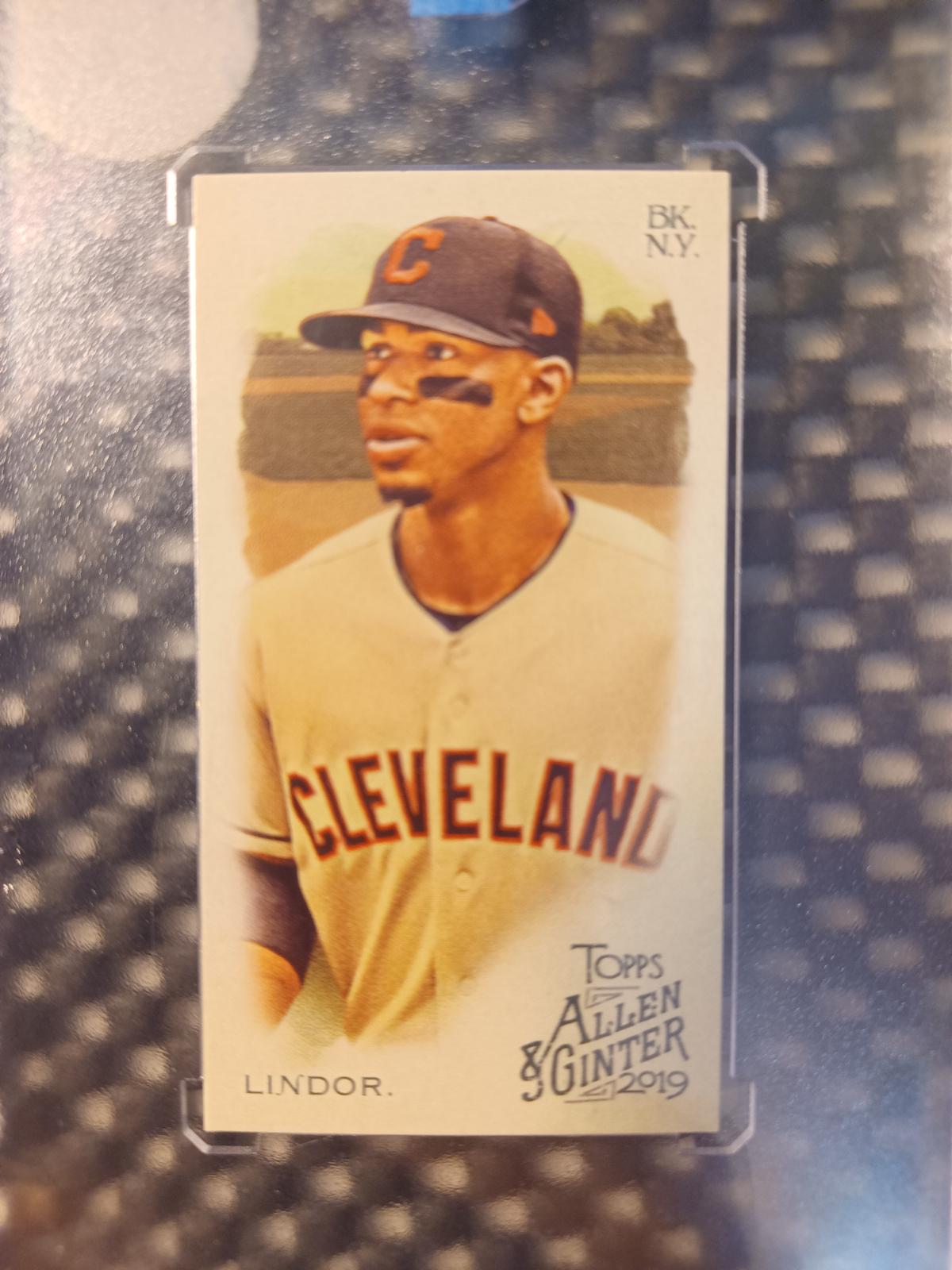Francisco Lindor [Mini Brooklyn Back] #21