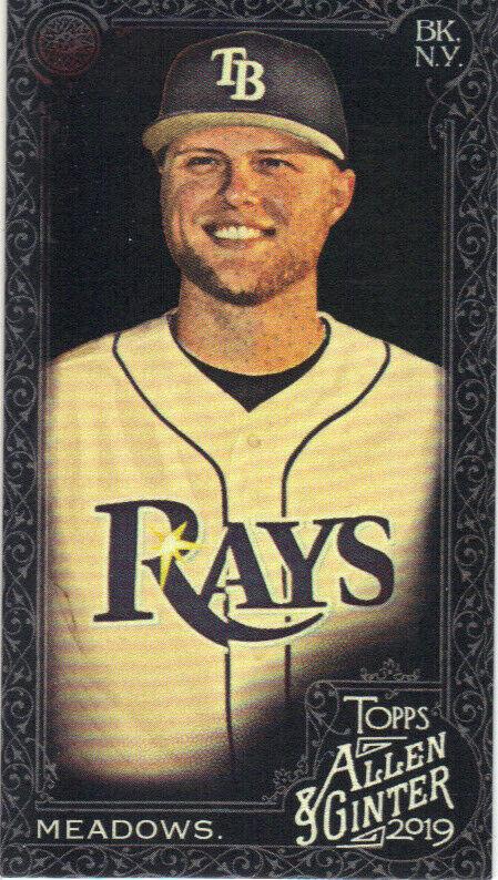 Austin Meadows [Mini] #363