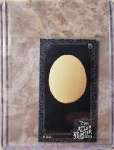 Egg [Mini] #213