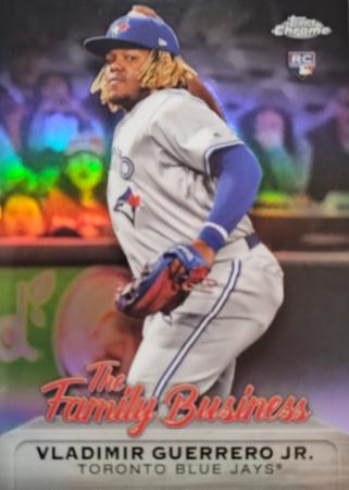 Vladimir Guerrero Jr. #FBC-19
