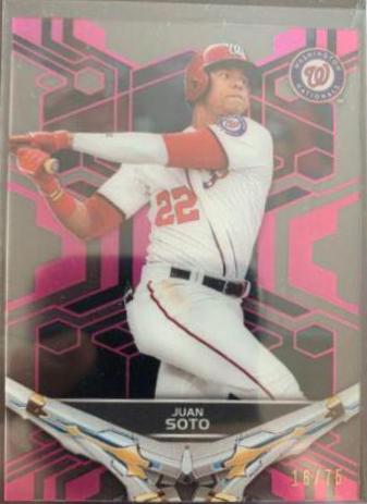 Juan Soto [Pink] #110