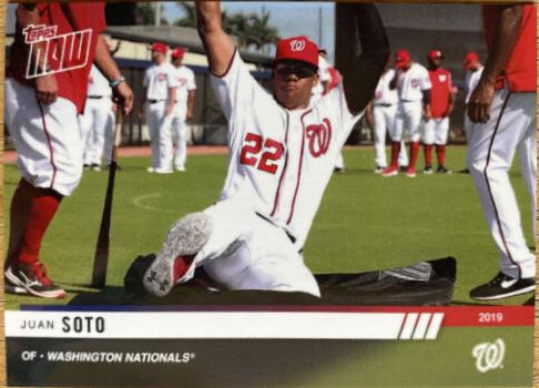 Juan Soto #OD297