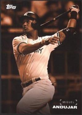 Miguel Andujar #21
