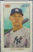 Aaron Judge [Cycle]