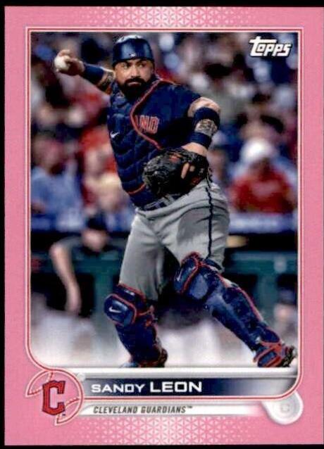 Sandy Leon [Mini Pink] #353