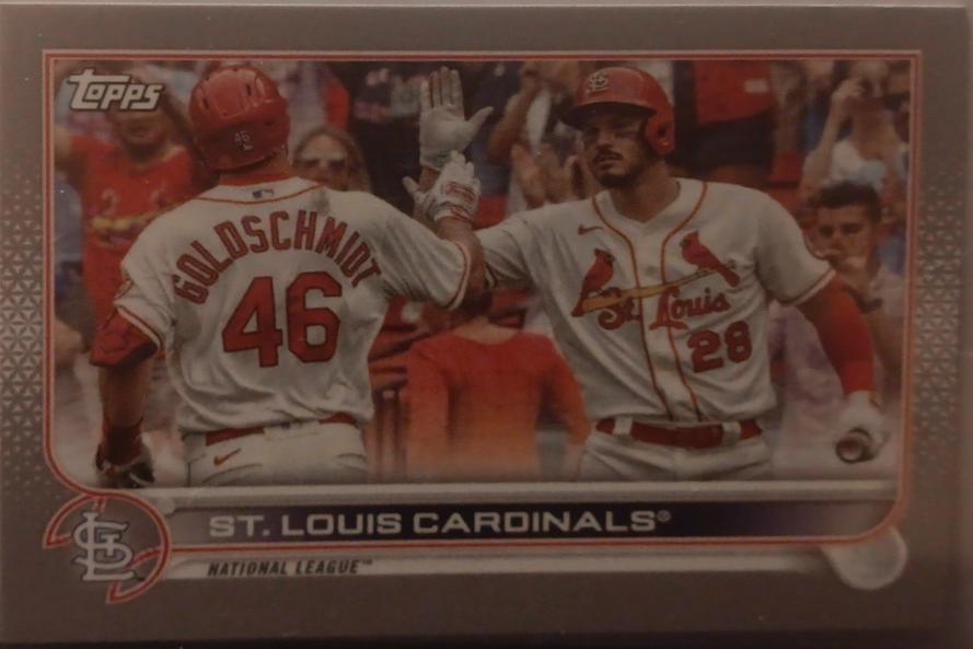 St. Louis Cardinals [Platinum] #247
