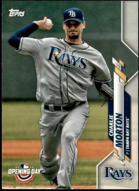Charlie Morton #113