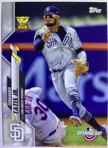 Fernando Tatis Jr. #189