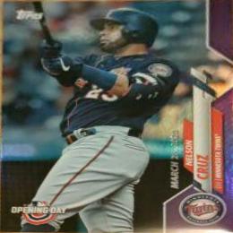 Nelson Cruz [Purple Foil] #93