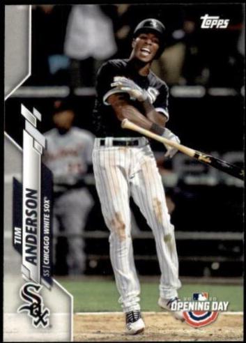 Tim Anderson #19