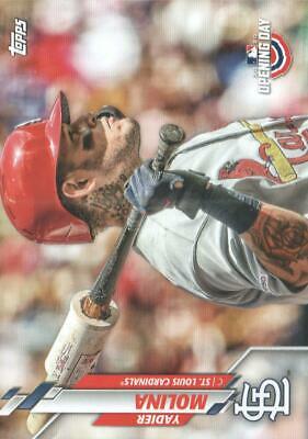 Yadier Molina #130