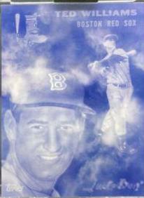 Ted Williams #146