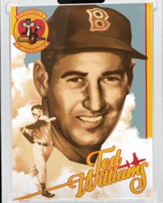 Ted Williams #293