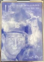 Ted Williams [Silver Frame Artist Proof] #146