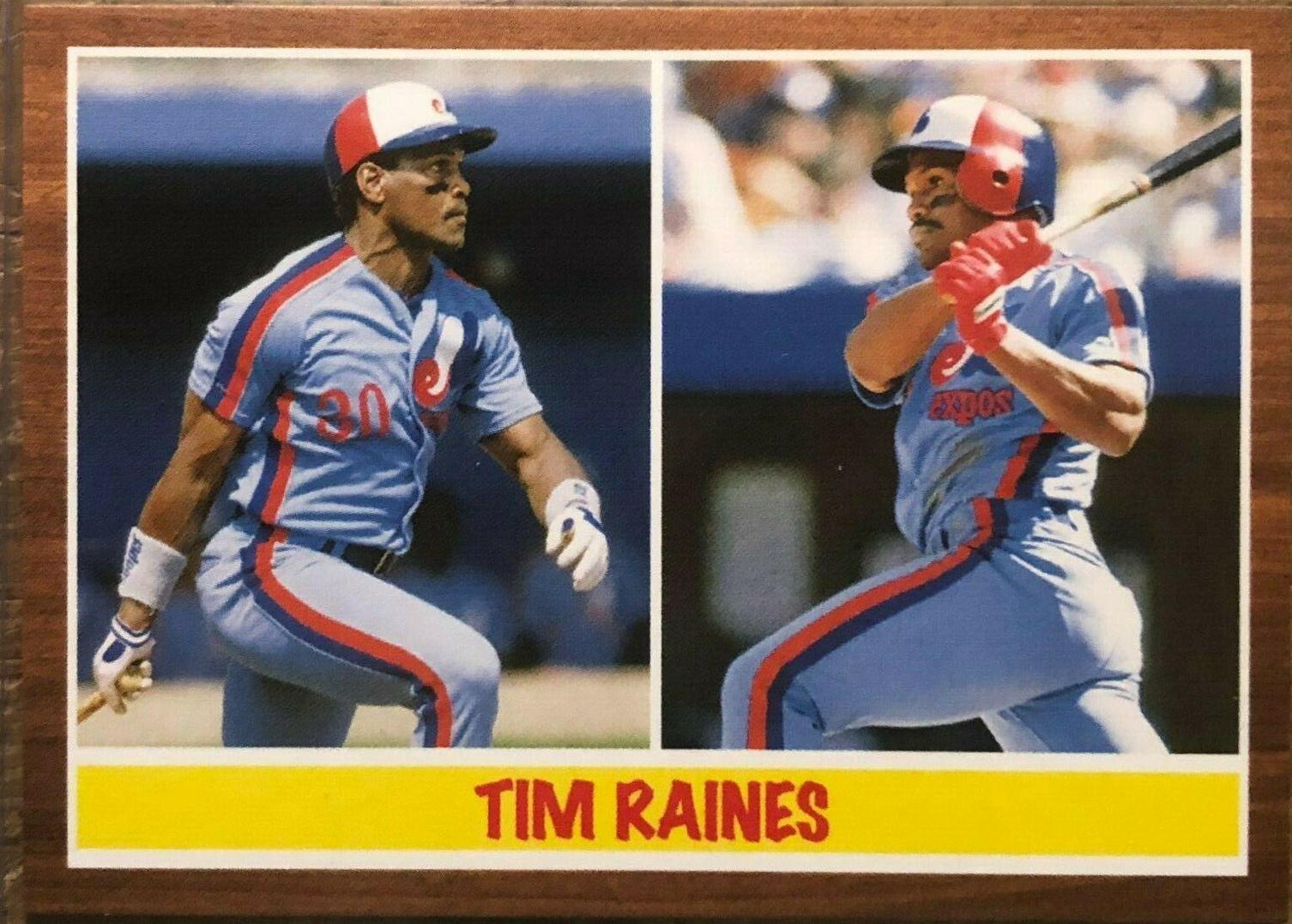 Tim Raines #105