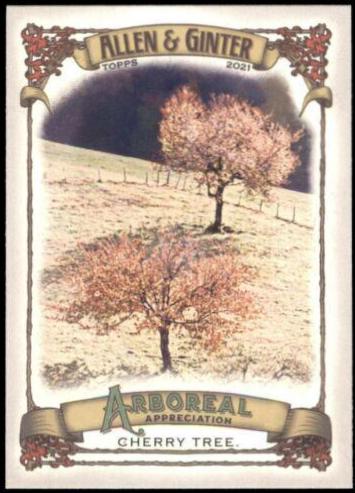 Cherry Tree #AA-8