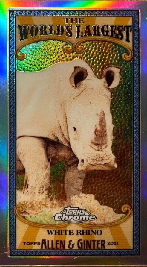 White Rhino #MWL-9