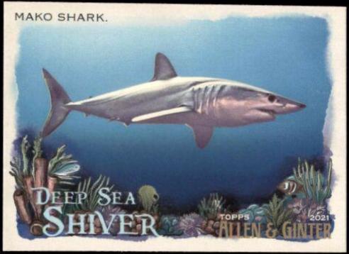 Mako Shark #DSS-3