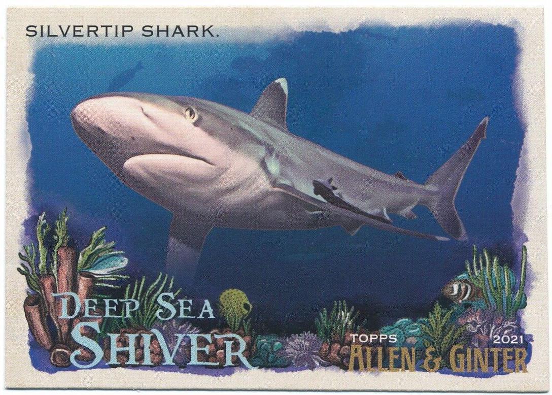 Silvertip Shark #DSS-15