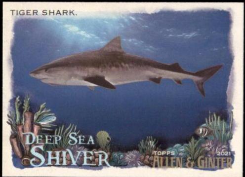 Tiger Shark #DSS-4