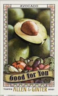 Avocado #GFY-9