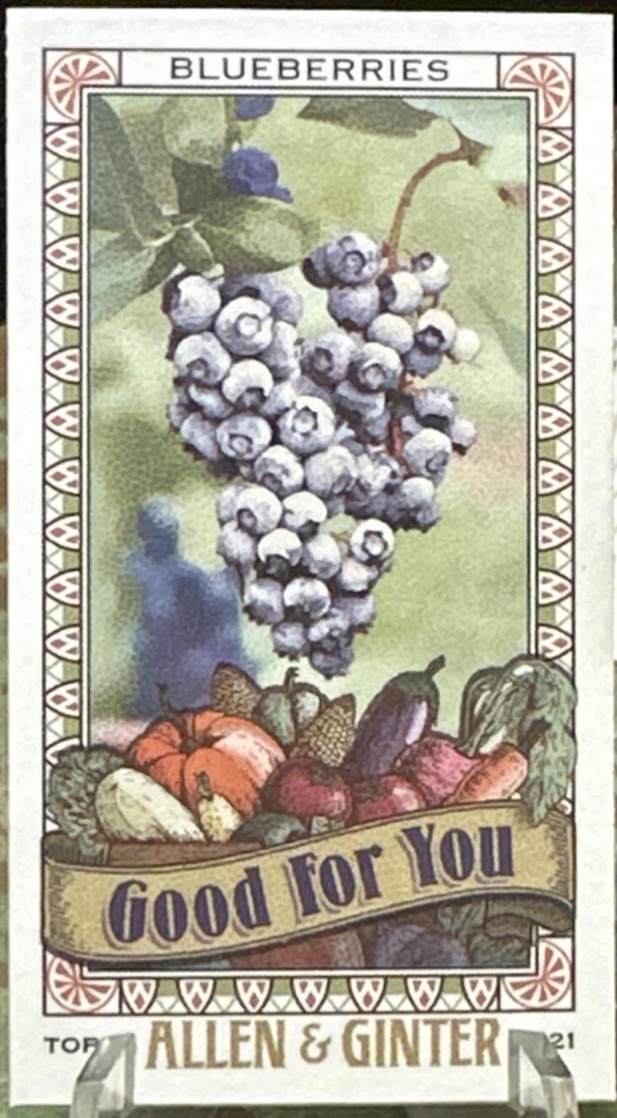 Blueberries #GFY-10