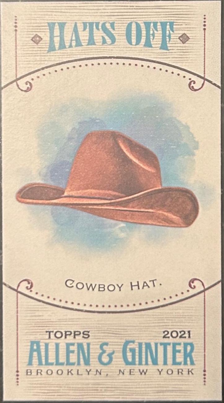Cowboy Hat #MHO-6