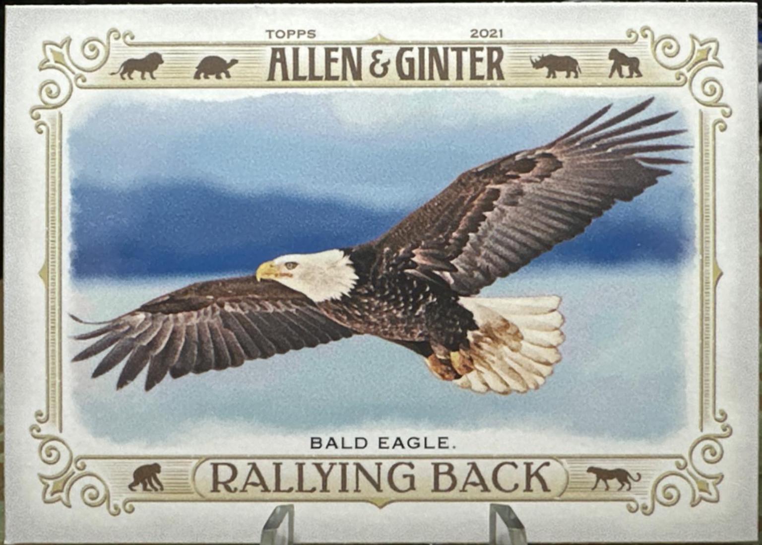 Bald Eagle #RB-3