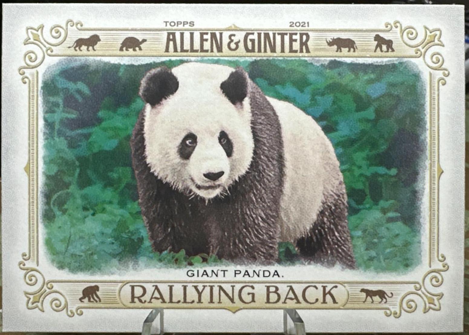 Giant Panda #RB-2