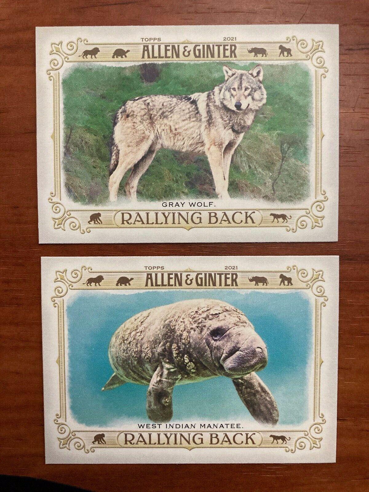 Gray Wolf #RB-1