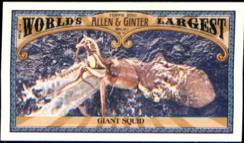 Giant Squid #MWL-7